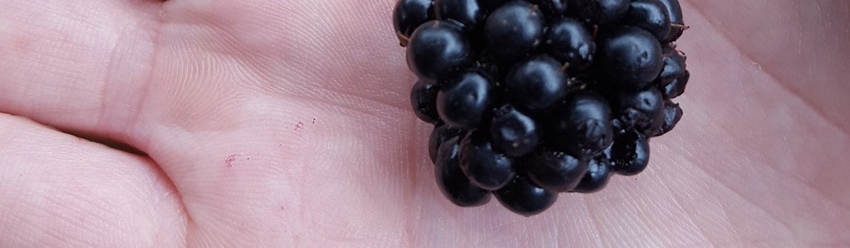 kleinfruit-hand kleinfruit-hand